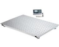 Scale Weighing Systems, Ultra-Low Profile, LED Digital Floor Scale with  Ramps