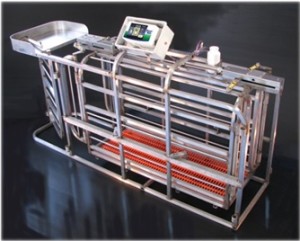 Weighing Systems for Zootechnical Sector