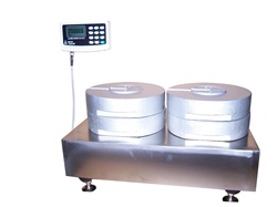 Ultra Precision Scales for Industrial Use