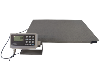 Industrial Scales | Custom Weighing Solutions┃Arlyn Scales