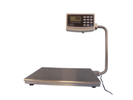 Electronic Bench Scales for the Food Industry
