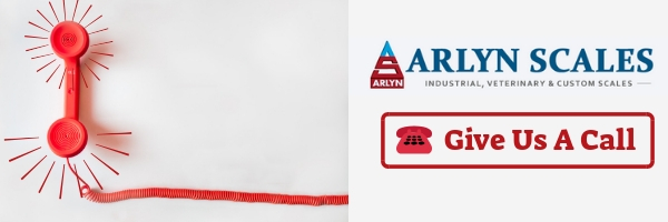 ArlynScales_Give Us A Call